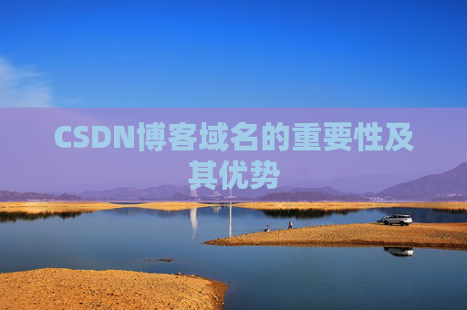 CSDN博客域名的重要性及其优势